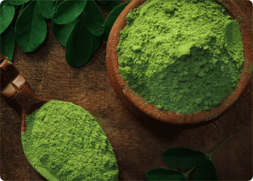 moringa
