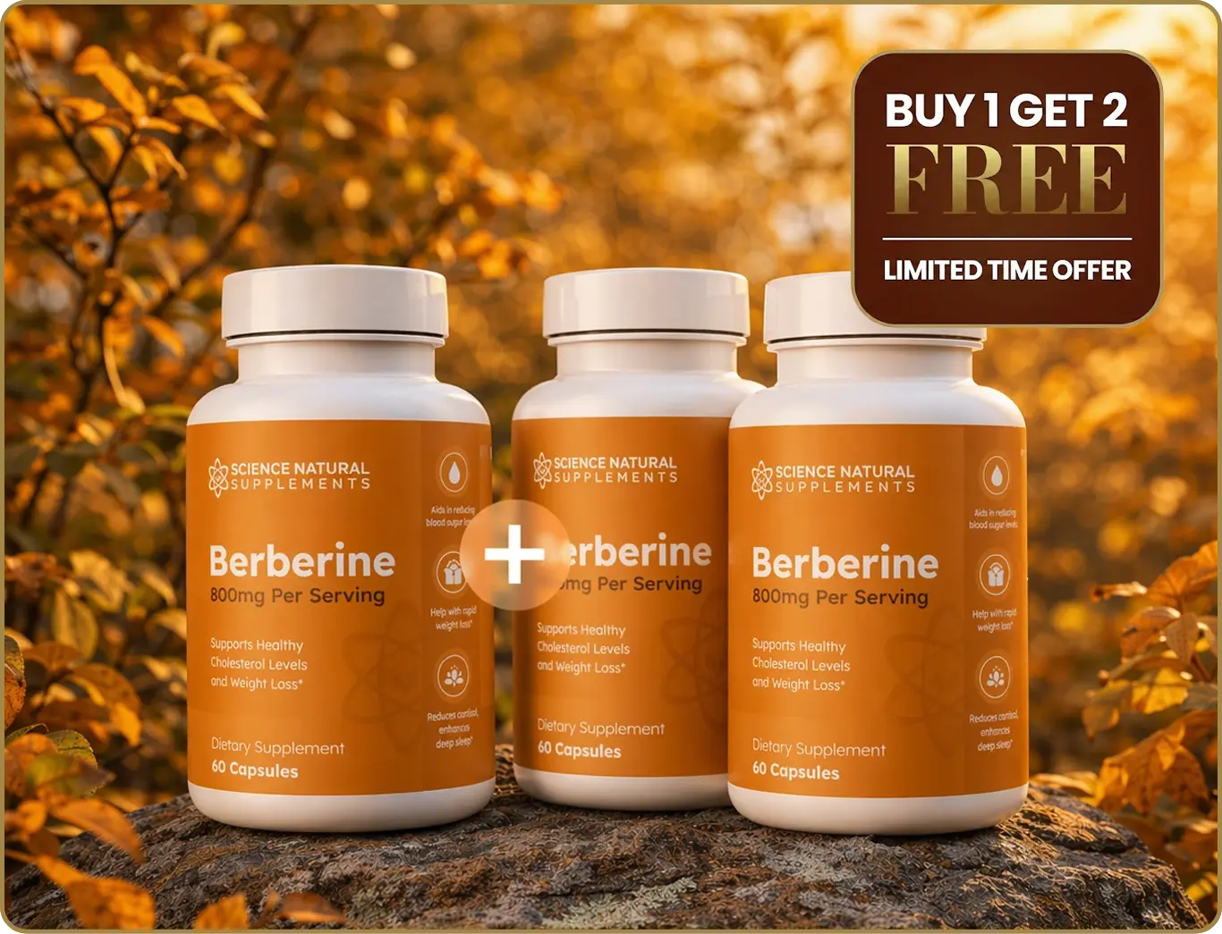 Buy 2 Get 4 Free Berberine