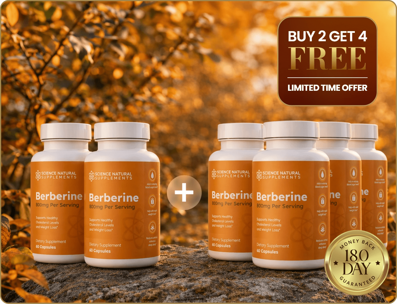 Berberine 6 Bottle Offer Bundle