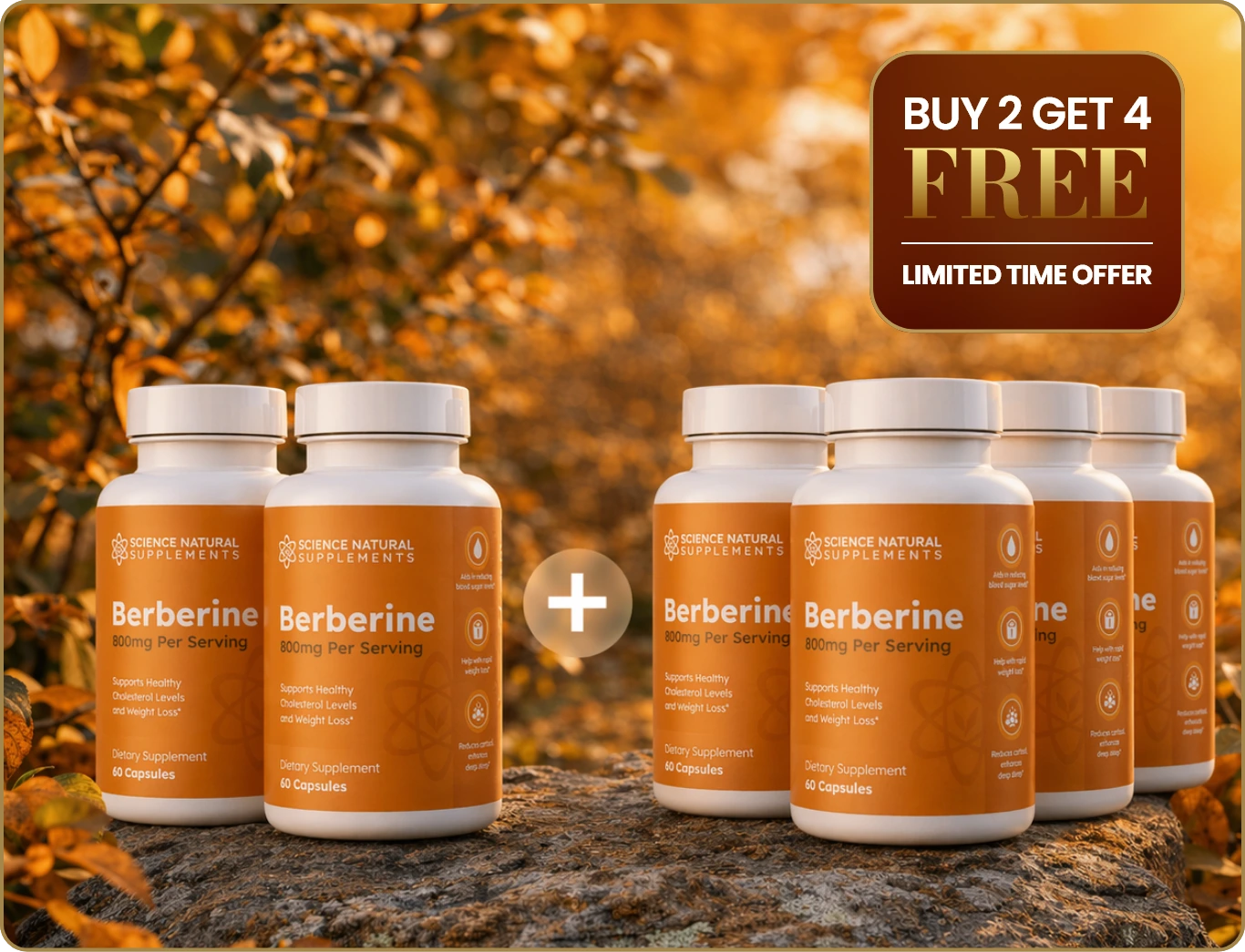 Buy 2 Get 4 Free Berberine