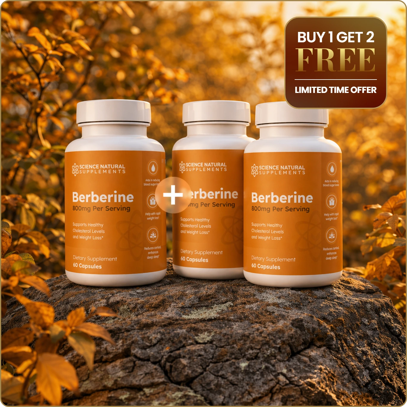 Berberine