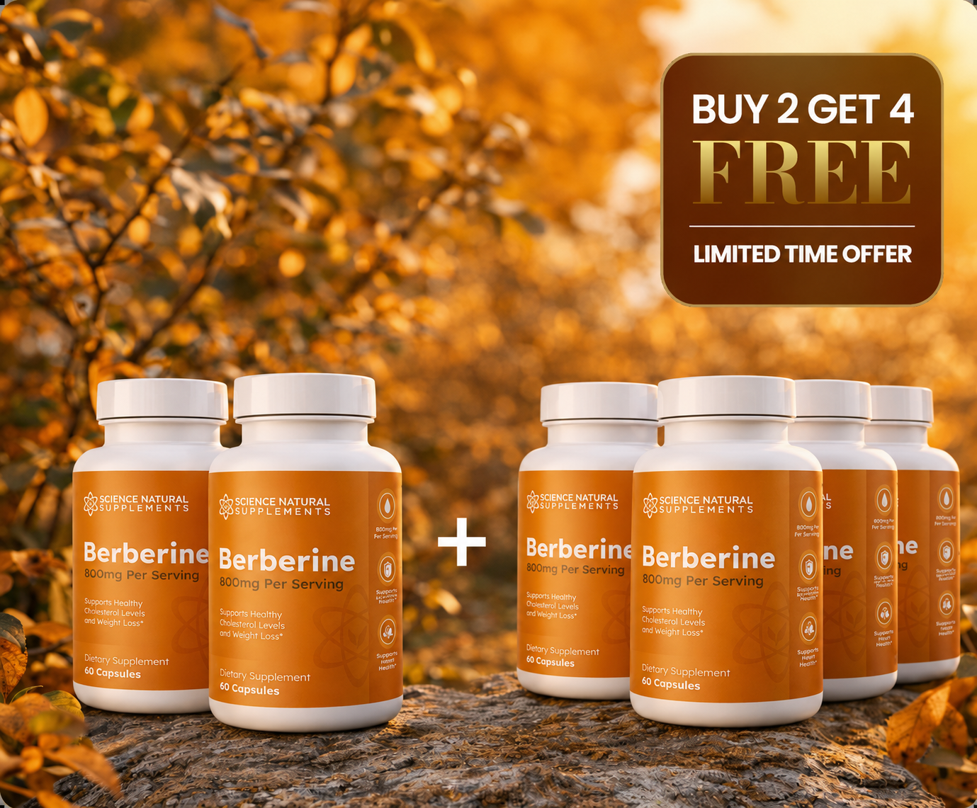 Berberine