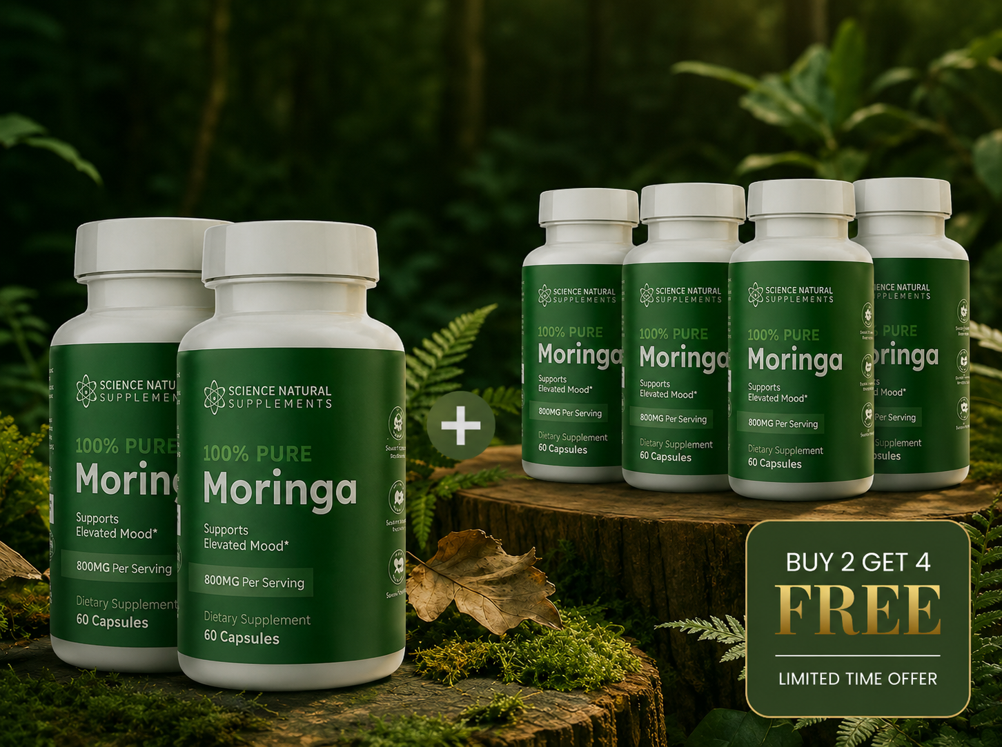 6 Bottles of Premium Moringa Bundle