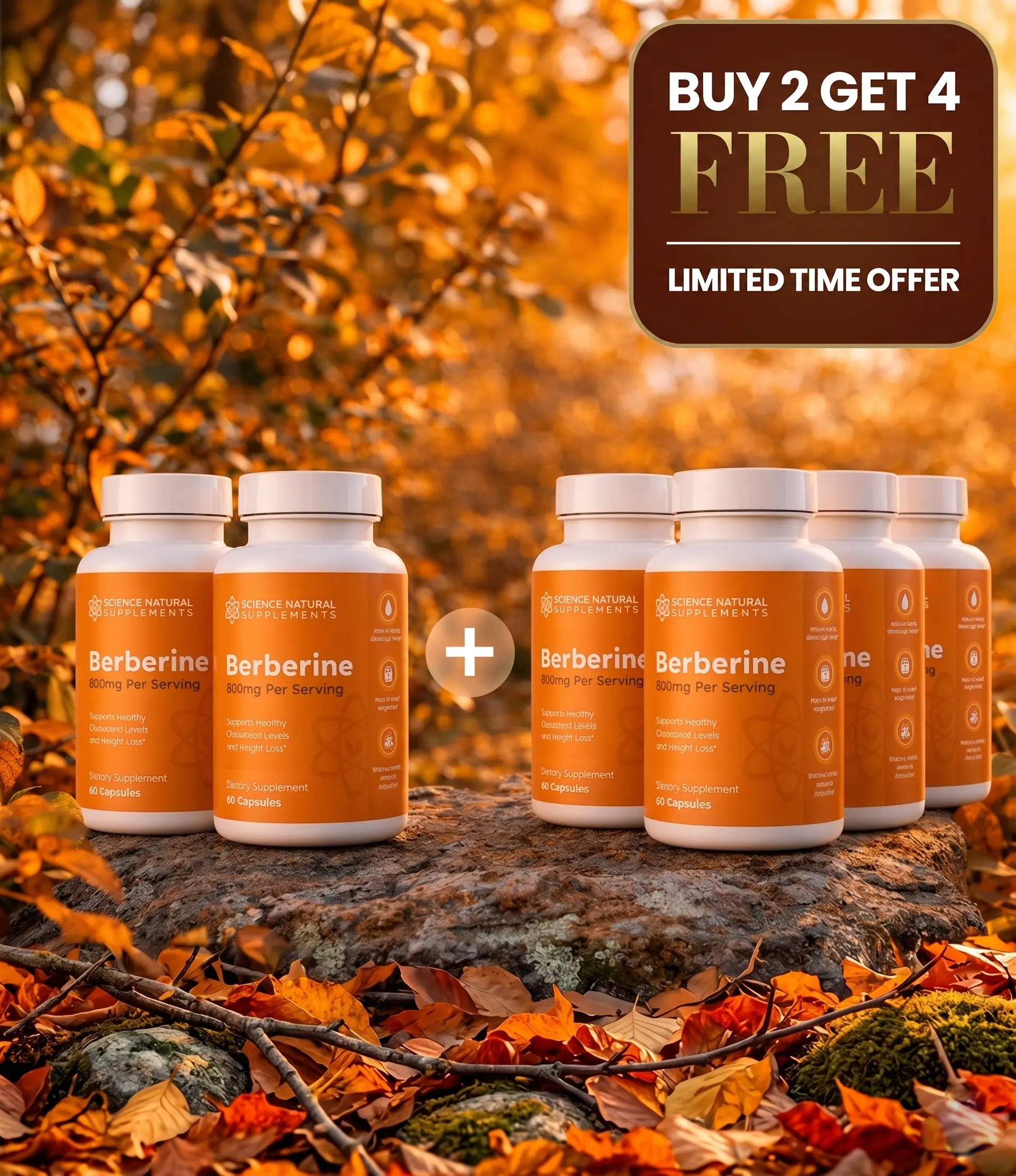 Berberine Supplement