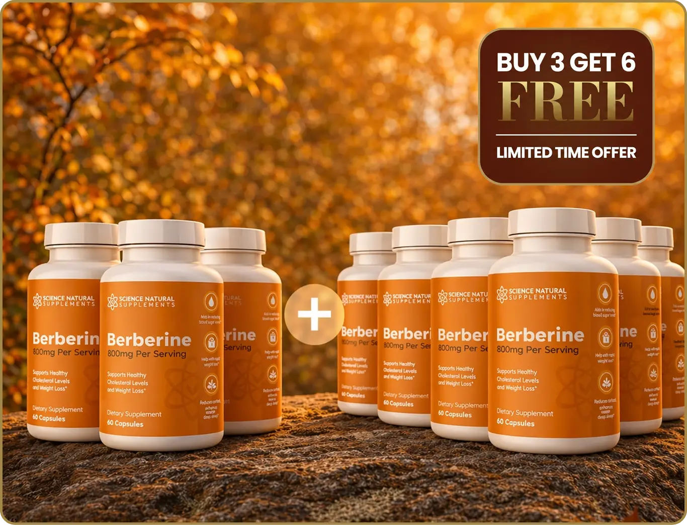 Berberine 6 Bottles
