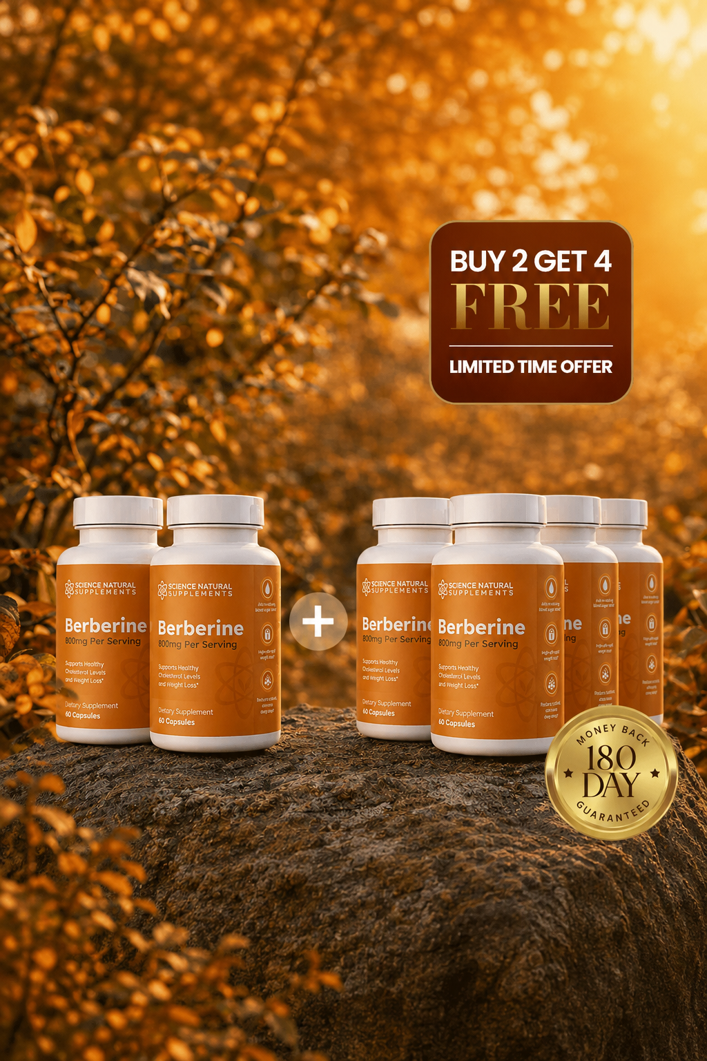6 bottles of Science Natural Supplements Berberine — Buy 2 Get 4 Free