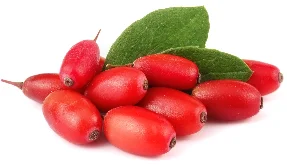 Berberine