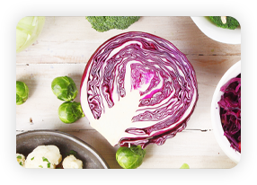Cabbage