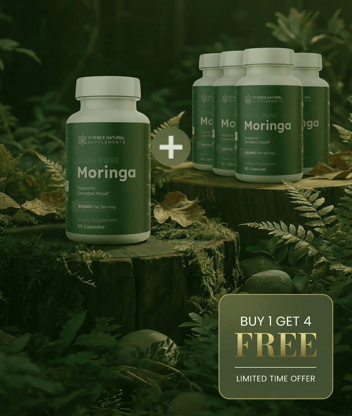 Moringa Product