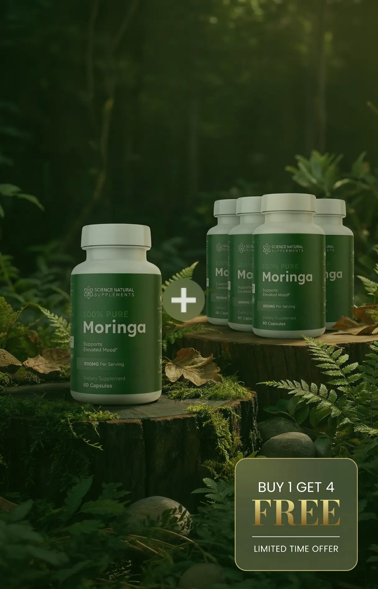 Moringa Product