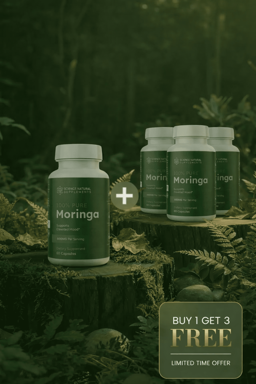 Moringa Product