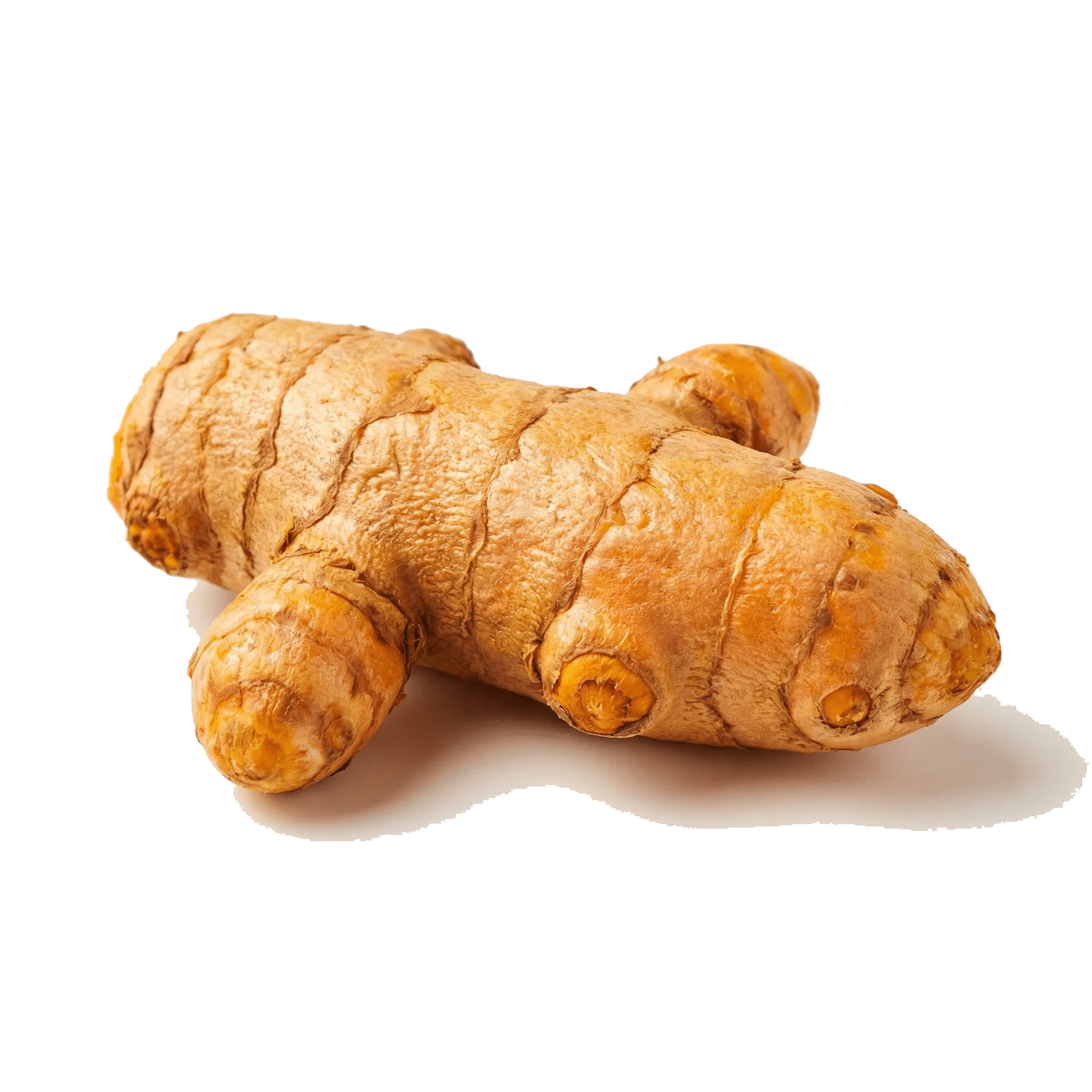 Turmeric root
