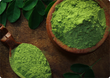 moringa
