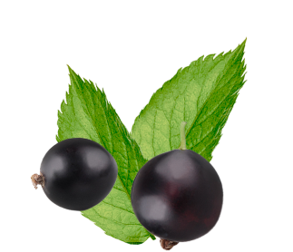 Berry