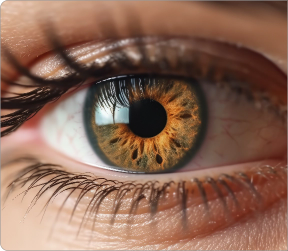 eye