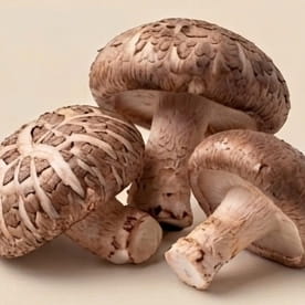 shitake