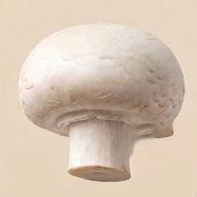 White Button