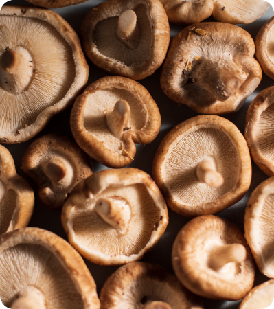 mushroom