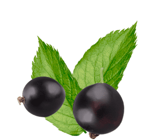 Berry